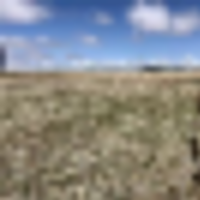 Stone Pointe Ranch Section 6 Quarter 1 images 4