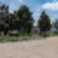 Brown Farm near Limon CO For Sale