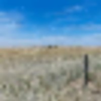 Brown Farm near Limon CO For Sale images 4