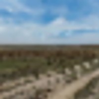 Brown Farm near Limon CO For Sale images 5