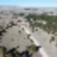 Elizabeth Pines 57