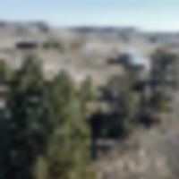 Elizabeth Pines 57 images 2