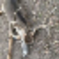 1678__resize-thumb