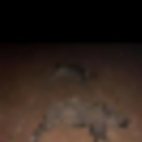 169635553_117871473664258_8995248024553649545_n__resize-thumb