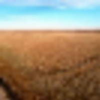 Kiowa Co. CO W160