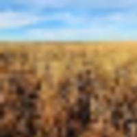 Kiowa Co. CO W160 images 2