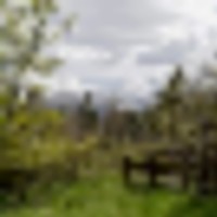 Vance Peak Ranch images 2