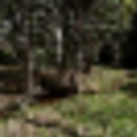 Vance Peak Ranch images 5