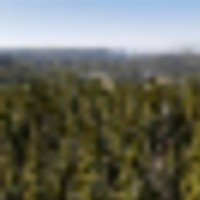 Cow Mountain Group 2 12.2 -ac images 5