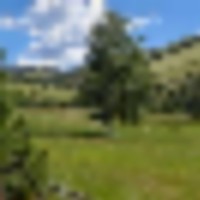 Hunt Elk Deer Bear Mountain Lion Colorado Mountain Land