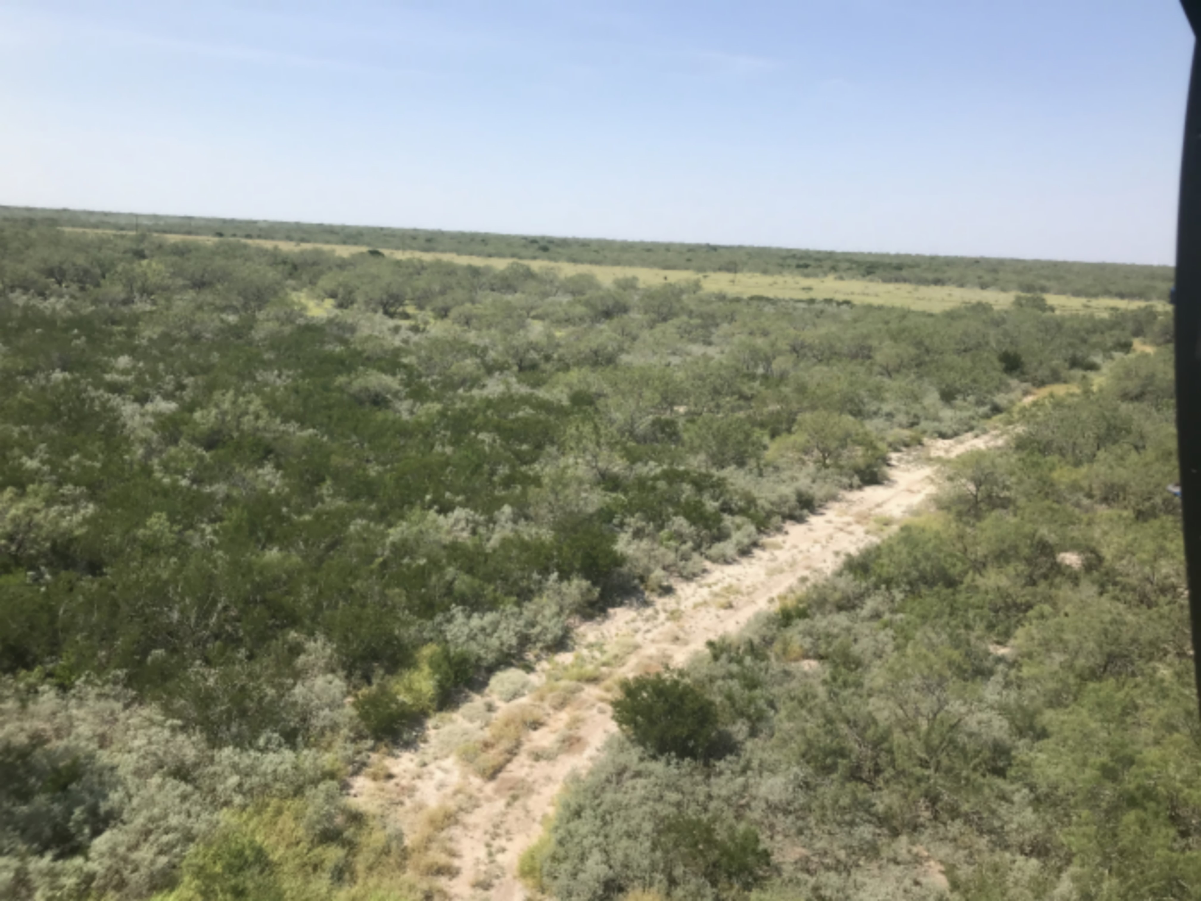 Starr County Hunting Lease images 3
