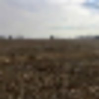 198434-14_2__resize-thumb