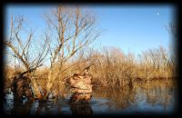 Big Creek Ducks N Bucks