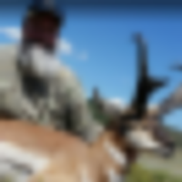 Bow Hunting Available on 3000 Acres in Junction, Texas images 1