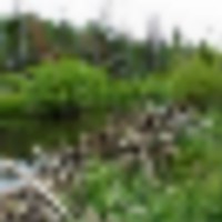 20140614131546__resize-thumb