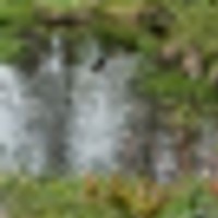 20140614131731__resize-thumb