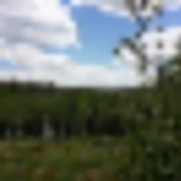 20140617140542__resize-thumb