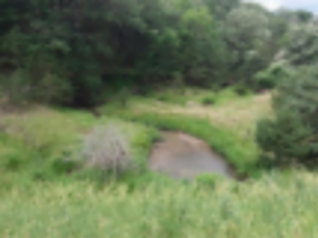 988 acres of big deer, corn, trees, gulleys and a stream, what else do I need to say ! featured image