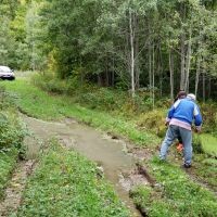 Around 300 ACRE executive Hunting Lease- Beside State Park Newberry, MI - $3 (Newberry,MI)