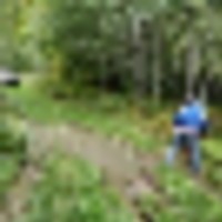 Around 300 ACRE executive Hunting Lease- Beside State Park Newberry, MI - $3 (Newberry,MI)