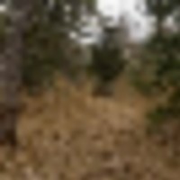 20181128_140210_resized_3__resize-thumb