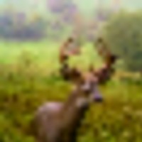 20200831-untitled-42__resize-thumb