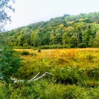 ShineOn Valley