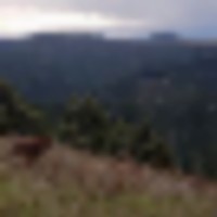 20210208_155624__resize-thumb