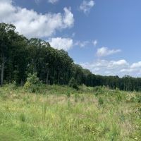 Nathalie VA - 12 acres