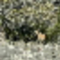 20211014_111425__resize-thumb