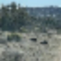 20211014_111447__resize-thumb