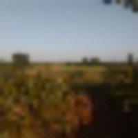 20220806_193314__resize-thumb