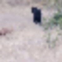 20220811_185944__resize-thumb