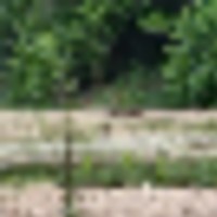 20220825_193219__resize-thumb