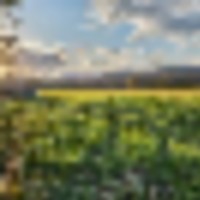 171 ac Hunting Lease in Upstate NY, Washington Co.