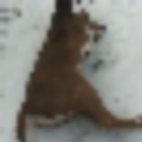 20221124_092216_hdr__resize-thumb