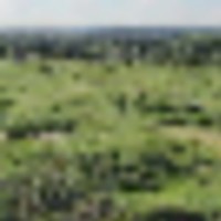 20230613_181849__resize-thumb
