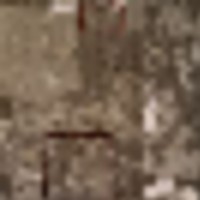 20250414_165557__resize-thumb