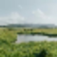 Sims Creek Ranch images 4