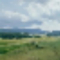Sims Creek Ranch images 5