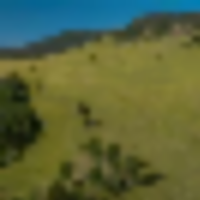 Saddle Mountain Ranch Guffey Colorado