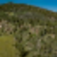 Saddle Mountain Ranch Guffey Colorado images 2