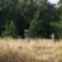 233410230_4384933274921671_1220438139047586335_n__resize-thumb