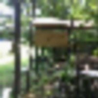 233523499_137629291877480_7550686300815507233_n__resize-thumb