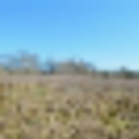 23.48 Acres Vacant Land for sale in Lincoln County MS images 1