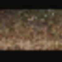 237088081_4118068338262129_3301417721794222325_n__resize-thumb