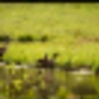 239565485_4362527150532438_6864258858713169838_n__resize-thumb
