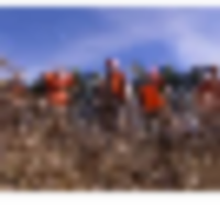 23__resize-thumb