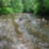 241763323_4662190570479315_8636675712779463121_n__resize-thumb