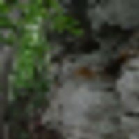 242215123_4279429618839733_2726654780164049201_n__resize-thumb